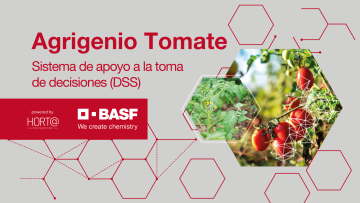 Agrigenio Tomate