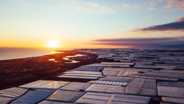Agricultura, innovación y digitalización en los invernaderos de Almería