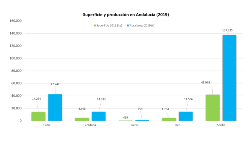 Superficie y produccion 2019
