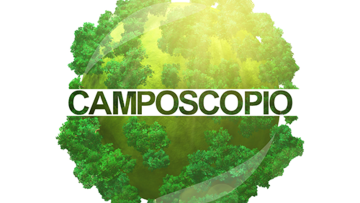 Blog: Camposcopio