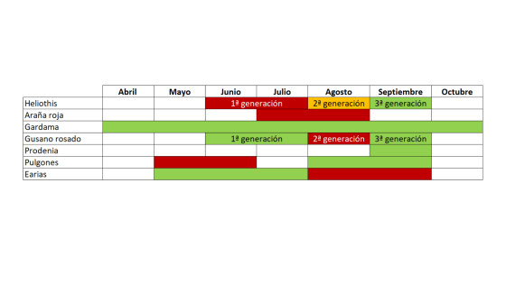 Calendario de enfermedades algodon