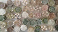 Lucha Microbiológica: la mejora de la sanidad de los cultivos