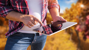 Modelos DSS: La agricultura del futuro ya está aquí