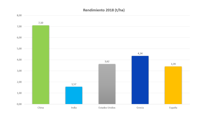 Rendimiento algodón 2018