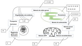 ¿Por qué es importante conocer el mecanismo de acción de un herbicida?