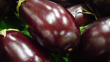 Berenjena