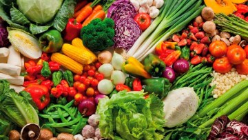 Catálogo de productos hortícolas