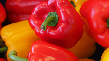 Pimiento