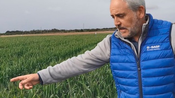 Espectro de acción: Vídeos en campo