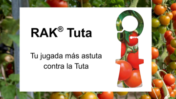 RAK® Tuta, tu jugada más astuta contra la Tuta