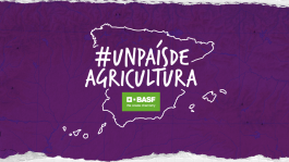 Vendimia. Paisaje y emoción en el viñedo español. 