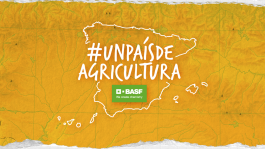 Cereal. Agricultura y Paisaje. Mucho más que un amor de primavera-verano.