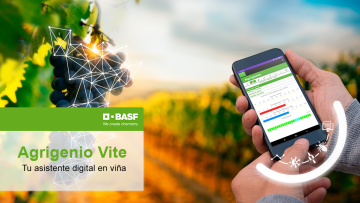 Agrigenio Vite