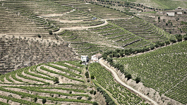 Biodiversidad