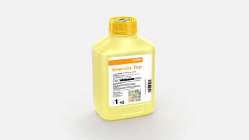 Enervin® Top