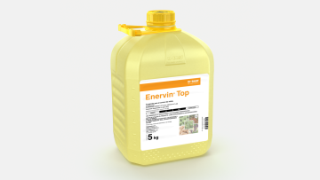 Enervin® Top