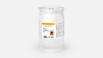 Kinto® Plus