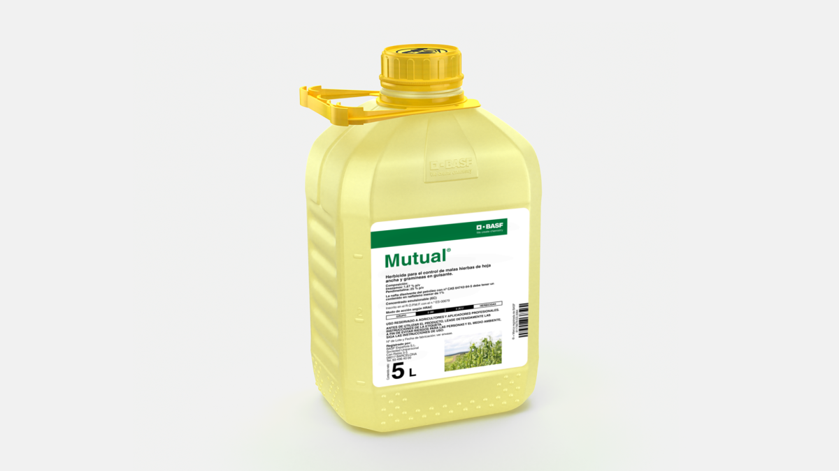 Mutual®