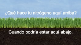 Gestión eficiente del Nitrógeno
