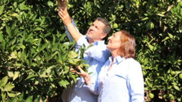 Catálogo de productos de BASF