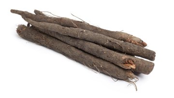 Salsifí
